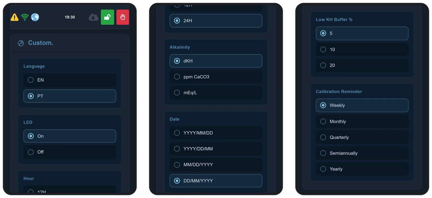 La schermata Custom. raccoglie lingua, unità, formati e promemoria.