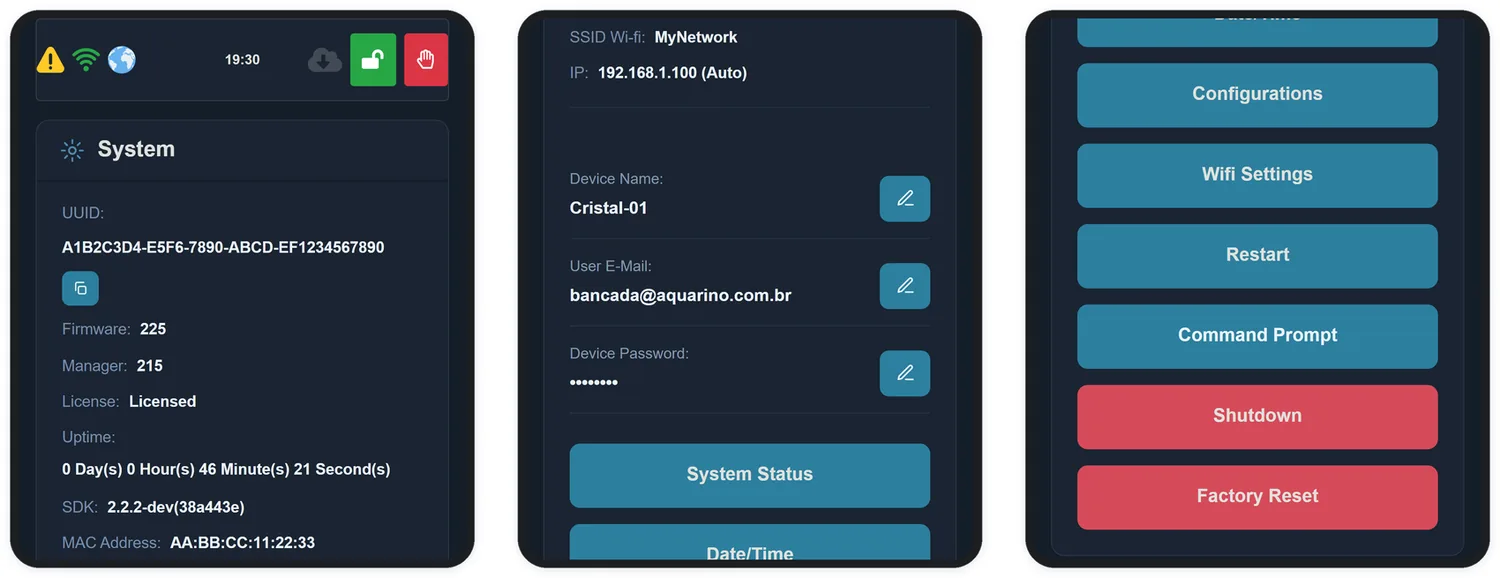 La schermata System: identificazione, versioni, rete e azioni di manutenzione. Gli identificatori di questa immagine sono stati sostituiti con valori di esempio.